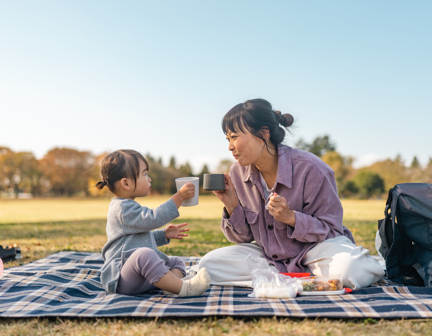 picnic for mum mother's day gift