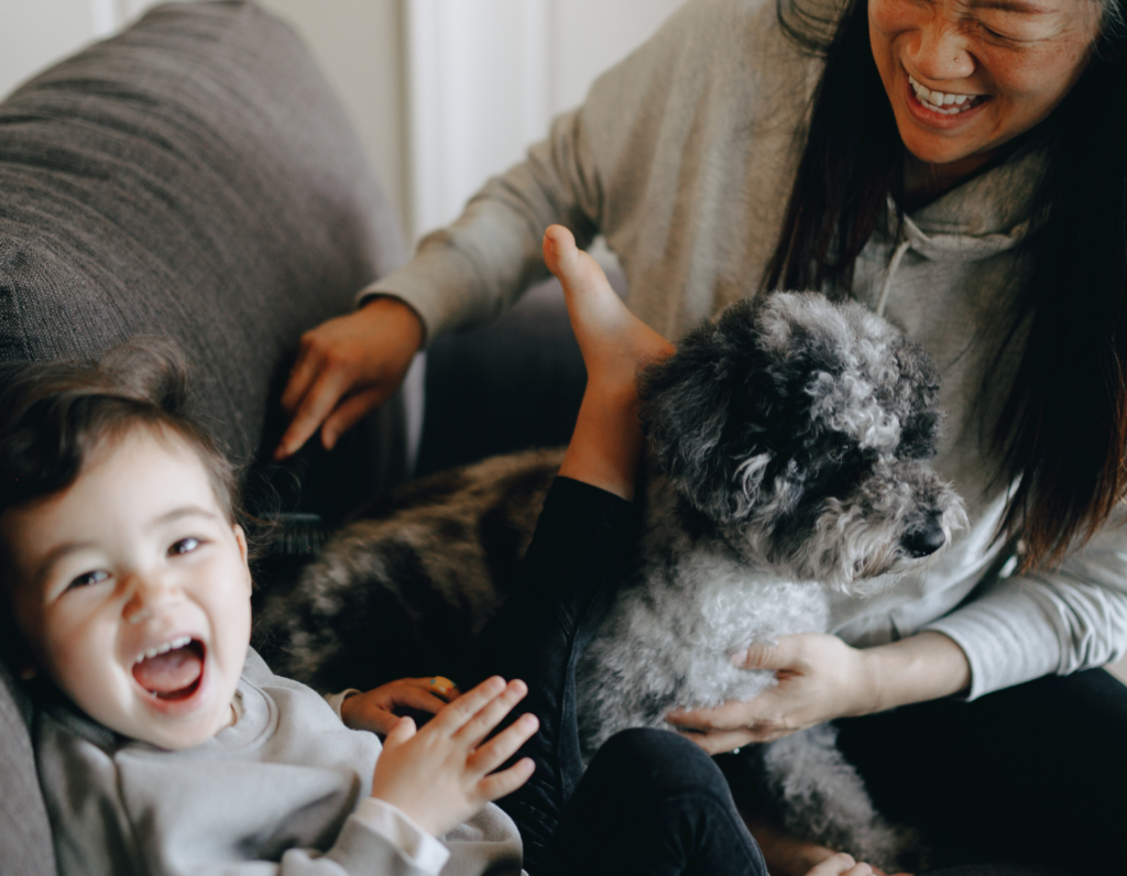 Hong Kong Pet Shops - Where To Buy Pet Supplies
