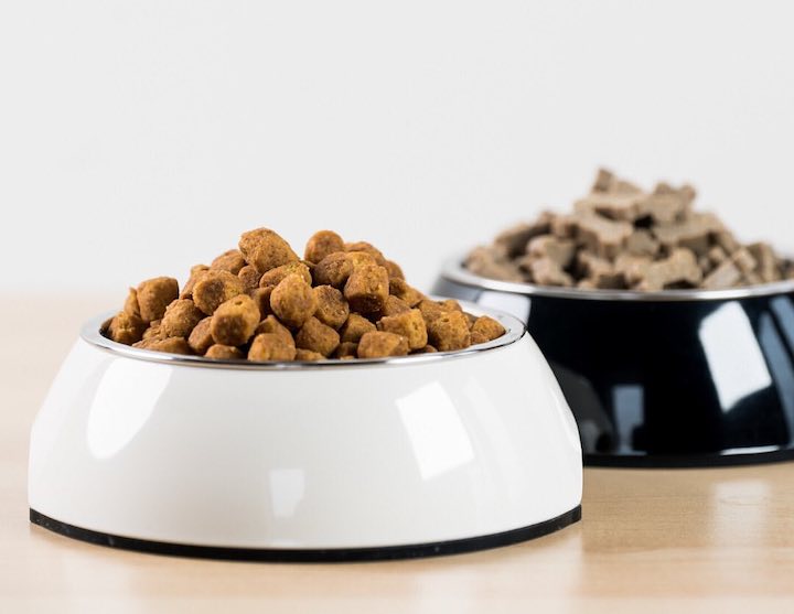 ePet pet store with dog food and cat food hong kong