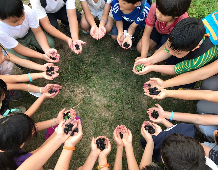 Best Forest Schools In Hong Kong: Forest House Waldorf School