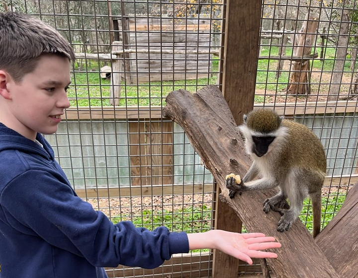 travel destination ideas based on your childs interest: petting zoos for animal lovers
