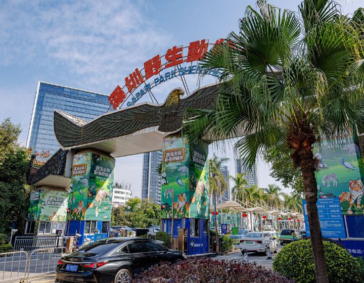 How to go and things to do in Shenzhen with the family : Shenzhen Safari Park Wildlife conservation for families 