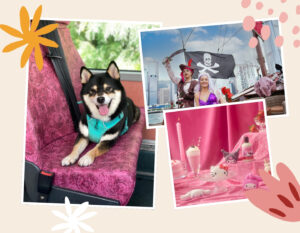 What's New In The 852 May 2025, things to do in hong kong with kids family friendly events
