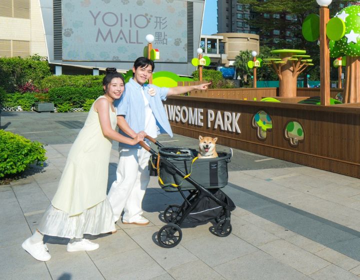 The Best Pet-Friendly Mall in Hong Kong, Other Pet-Friendly Malls In Hong Kong