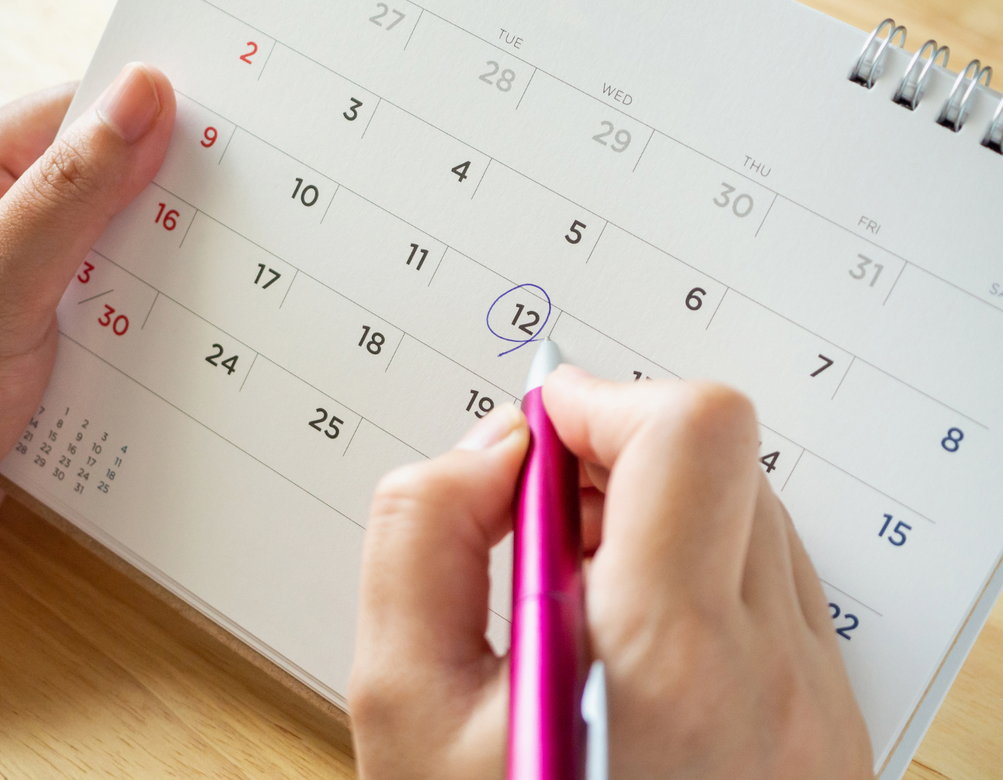 hong kong school holiday calendar 2025 - 2026
