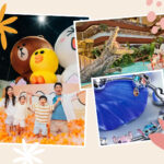 What's New In The 852 July 2025, things to do in hong kong with kids family friendly events