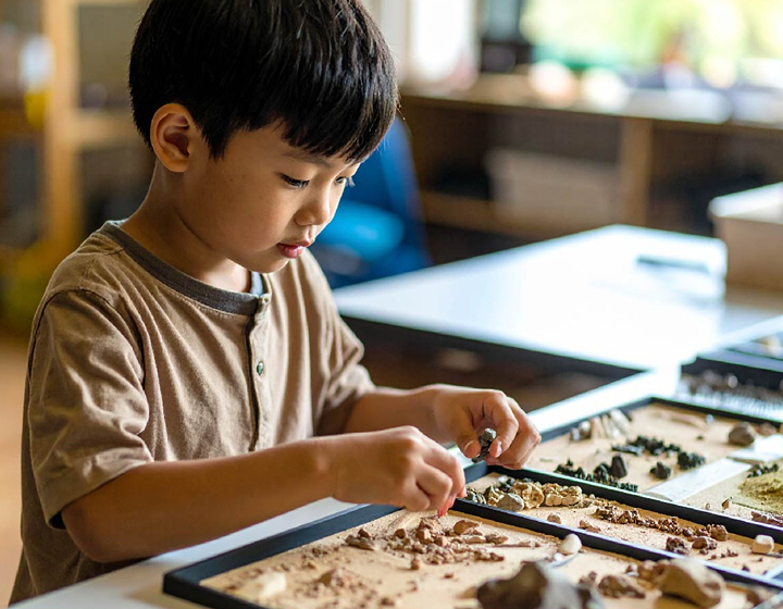 things to do with kids in hong kong this august 2025; dino fossil lab at airside