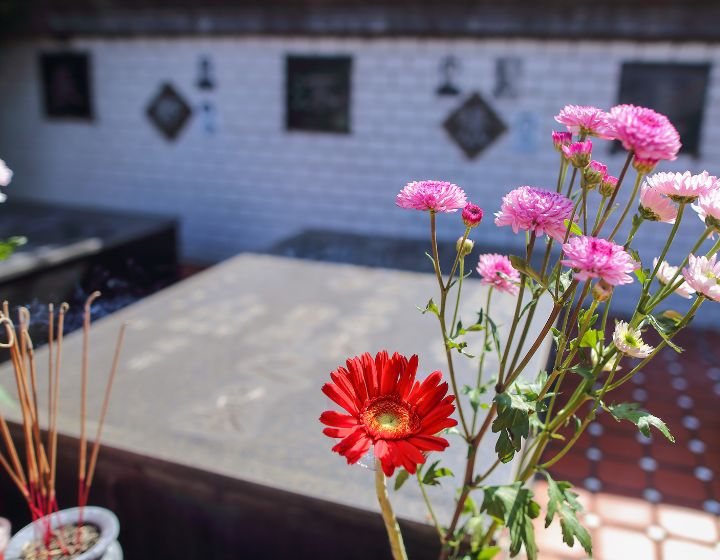 what is the chung yeung festival?