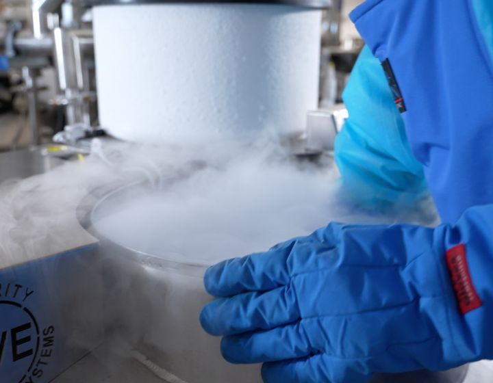 Hong Kong Cord Blood Cryolife bank lab preserve 