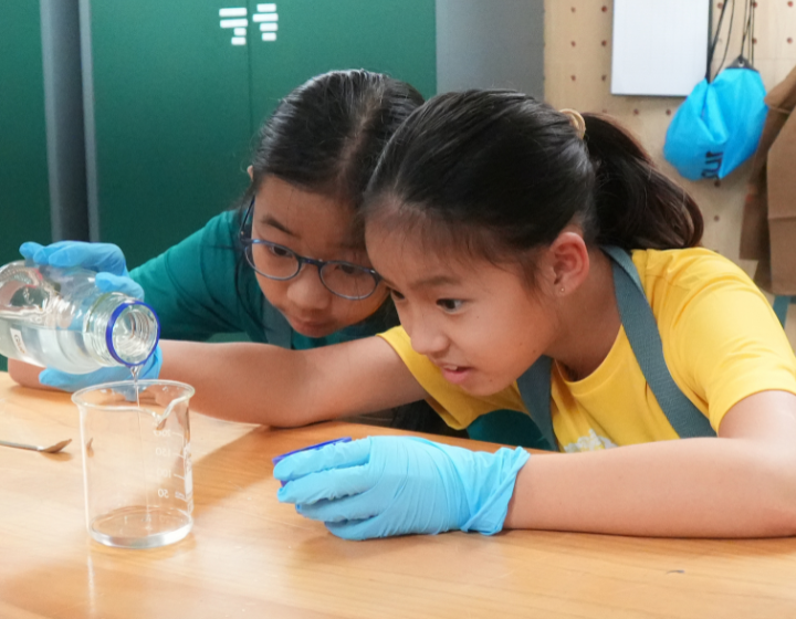 Bloom KKCA Academy, Primary School in HK, Kowloon school