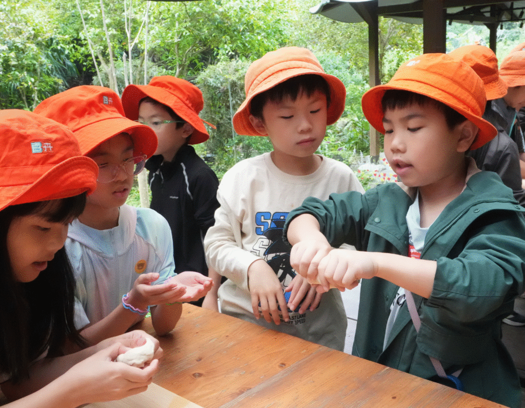 Bloom KKCA Academy, Hong Kong primary schools, Kowloon schools, Hong Kong schools