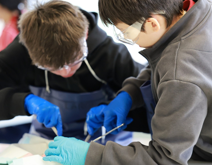 Hong Kong school open days: ESF Discovery College