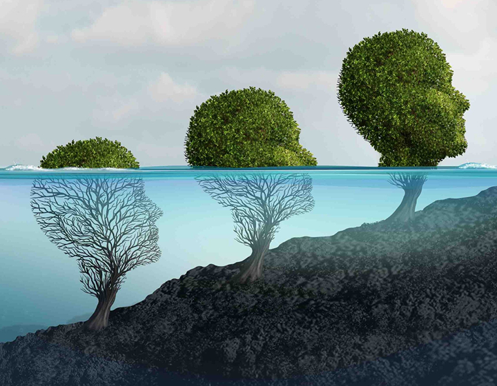 where to find therapists and counselling services in hong kong; maple tree counselling