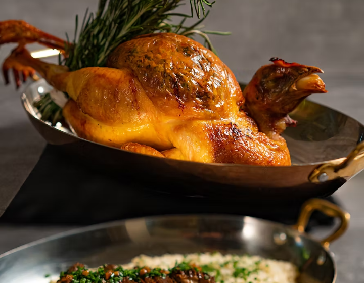 family friendly restaurants Hong Kong, kid-friendly restaurants hong Kong, best family friendly restaurants 2026, The Grill Room