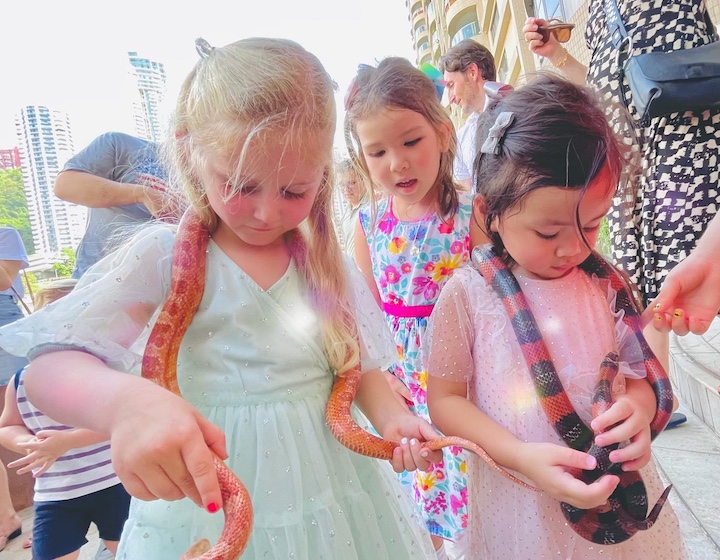 jurassic garage kids birthday parties Hong Kong