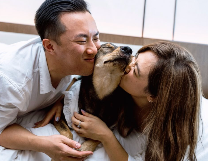 best pet photographers and photography studios hong kong, dog photography, cat photography, pet photo, pawtraits HK