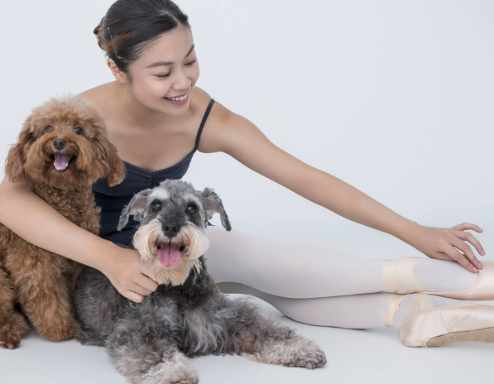 best pet photographers and photography studios hong kong, dog photography, cat photography, pet photo, venture studios