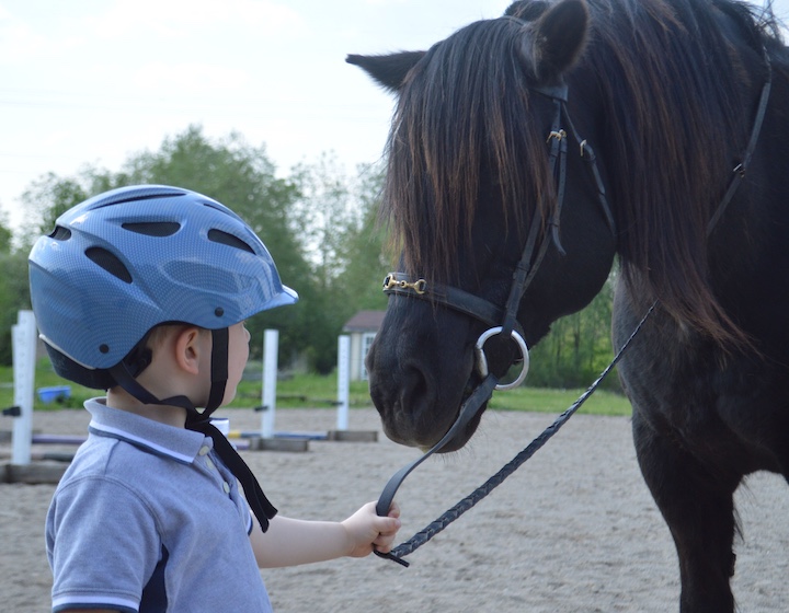 a young boy leading a pony at a Hong Kong horse riding lesson