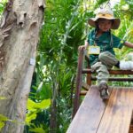 a little boy plays outside on climbing equipment during a forest school session at ICHK Hong Lok Yuen