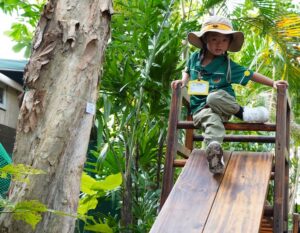 a little boy plays outside on climbing equipment during a forest school session at ICHK Hong Lok Yuen