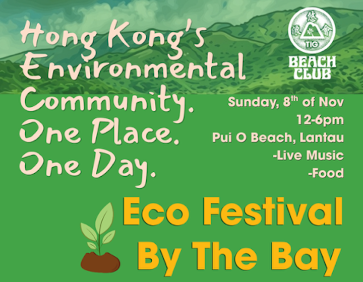 Graphic flier advertising the eco festival by the bay at pub o beach