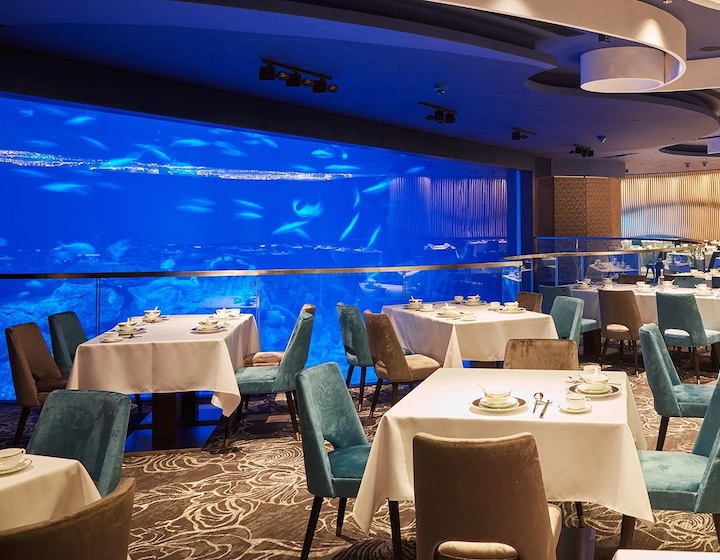 dining tables set up at Neptunes aquarium restaurant Ocean Park Hong Kong