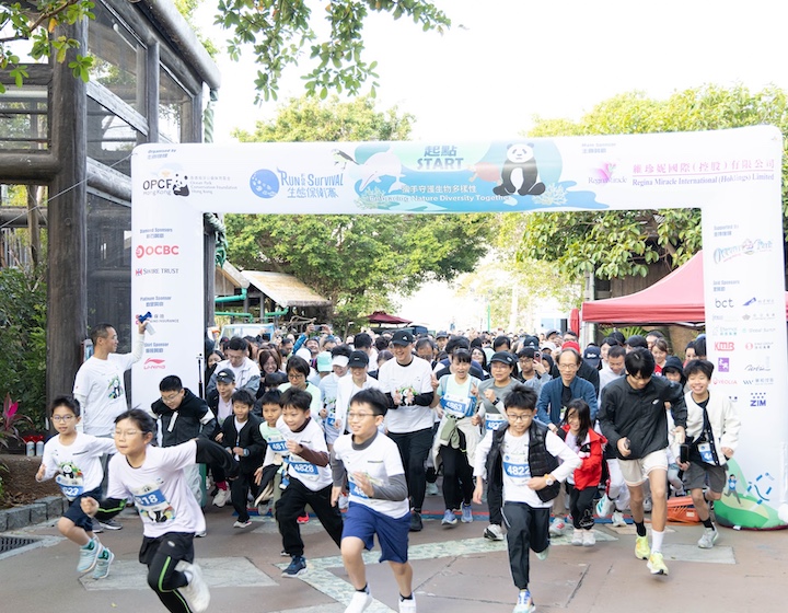 children at the starting line for the Ocean Park Hong Kong Run For Survival event