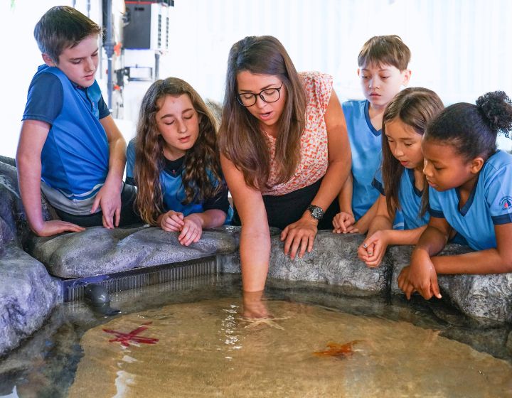 the harbour school winter camp 2025