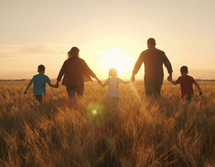 Harbour Wills and Estate Planning, Will and guardianship lawyers