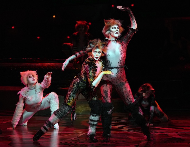 performers of CATS The Musical on stage in Hong Kong