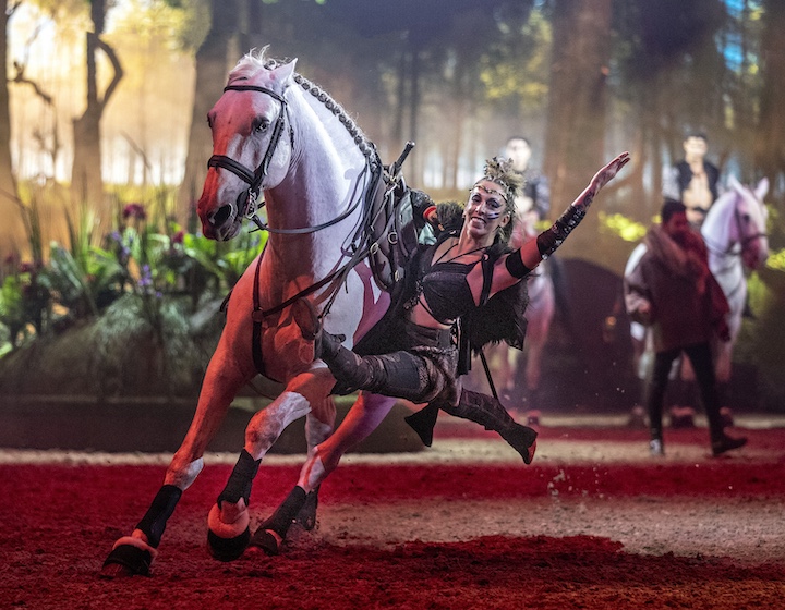 an acrobat in splits while stunt riding a horse in the cavalluna equestrian show Hong Kong